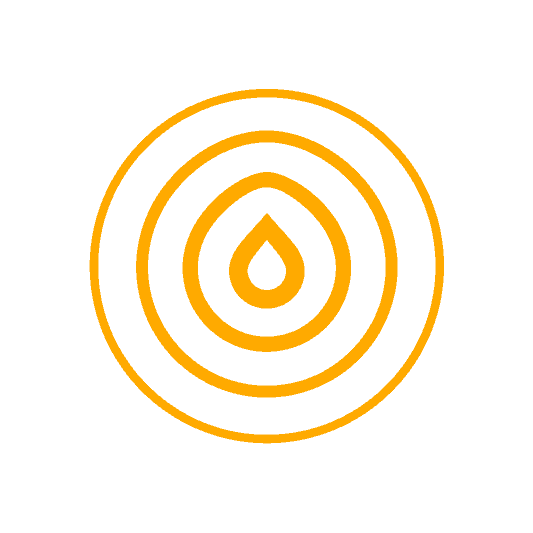 Safisana logo